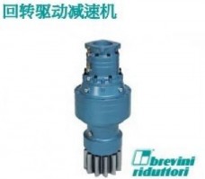 Brevini布雷維尼回轉(zhuǎn)驅(qū)動減速機(jī)